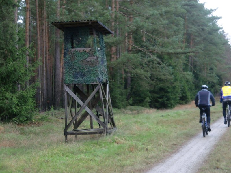 CTF Neustaedter Holz michael 091